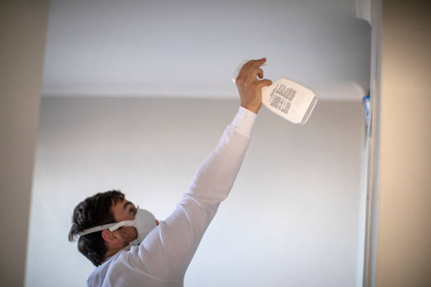 Best Fast Mold Removal  in Coalfield, TN