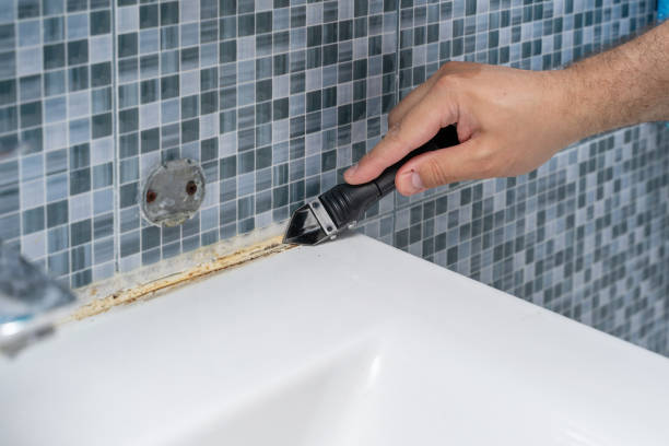 Best Commercial Mold Removal  in Coalfield, TN